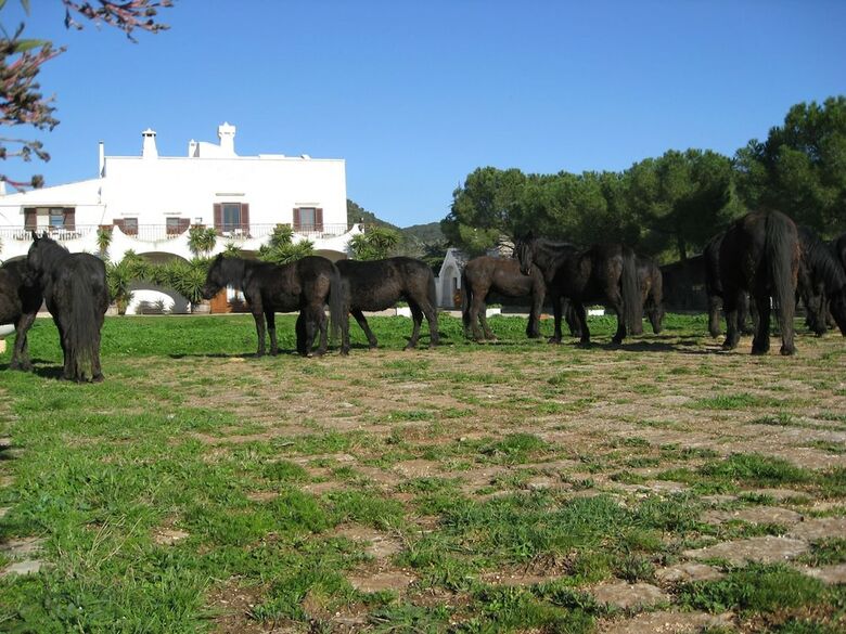 Agroturismo Masseria Pilano