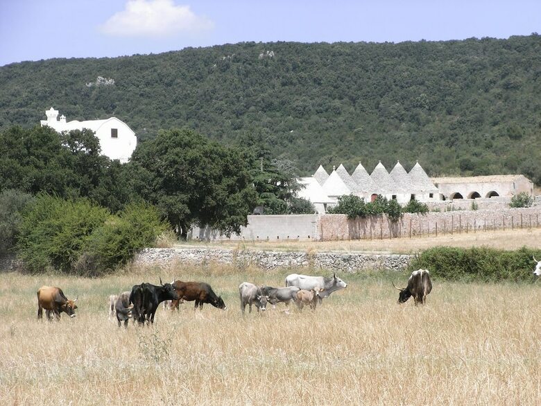 Agroturismo Masseria Pilano