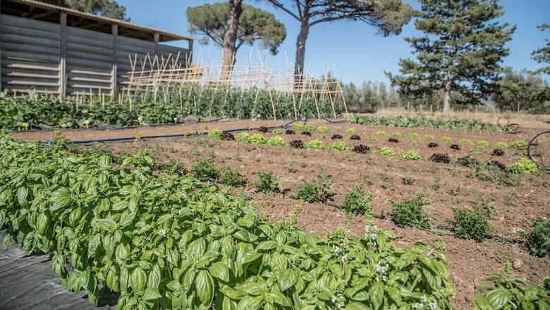 Agroturismo Traldi Resort