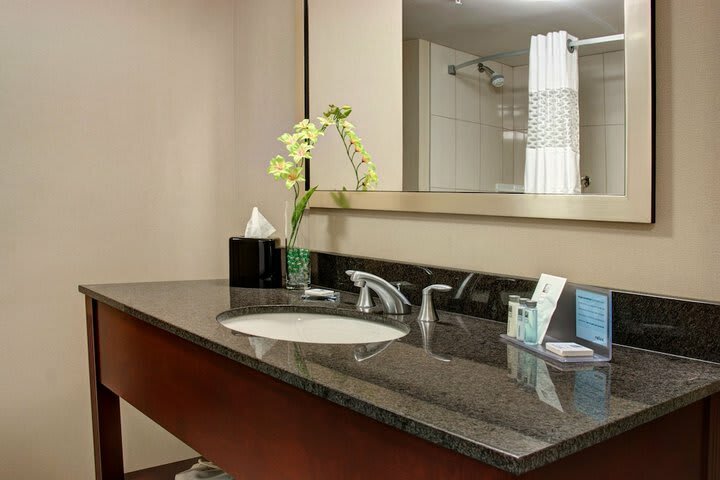 Hotel Hampton Inn By Hilton Toronto/brampton
