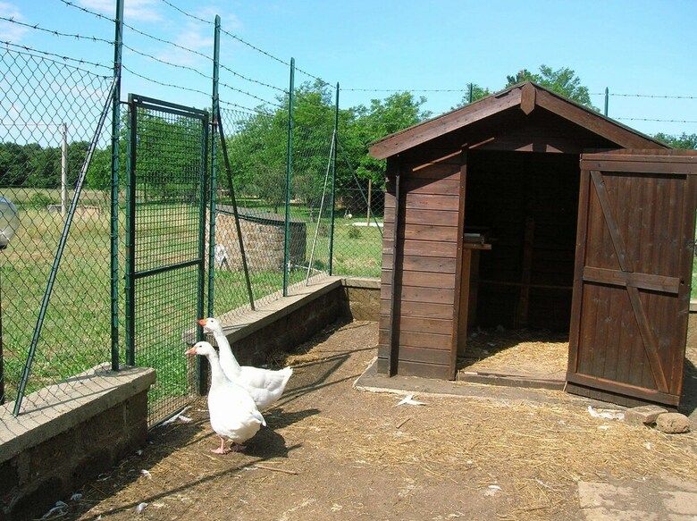 Agroturismo Agriturismo Buonasera