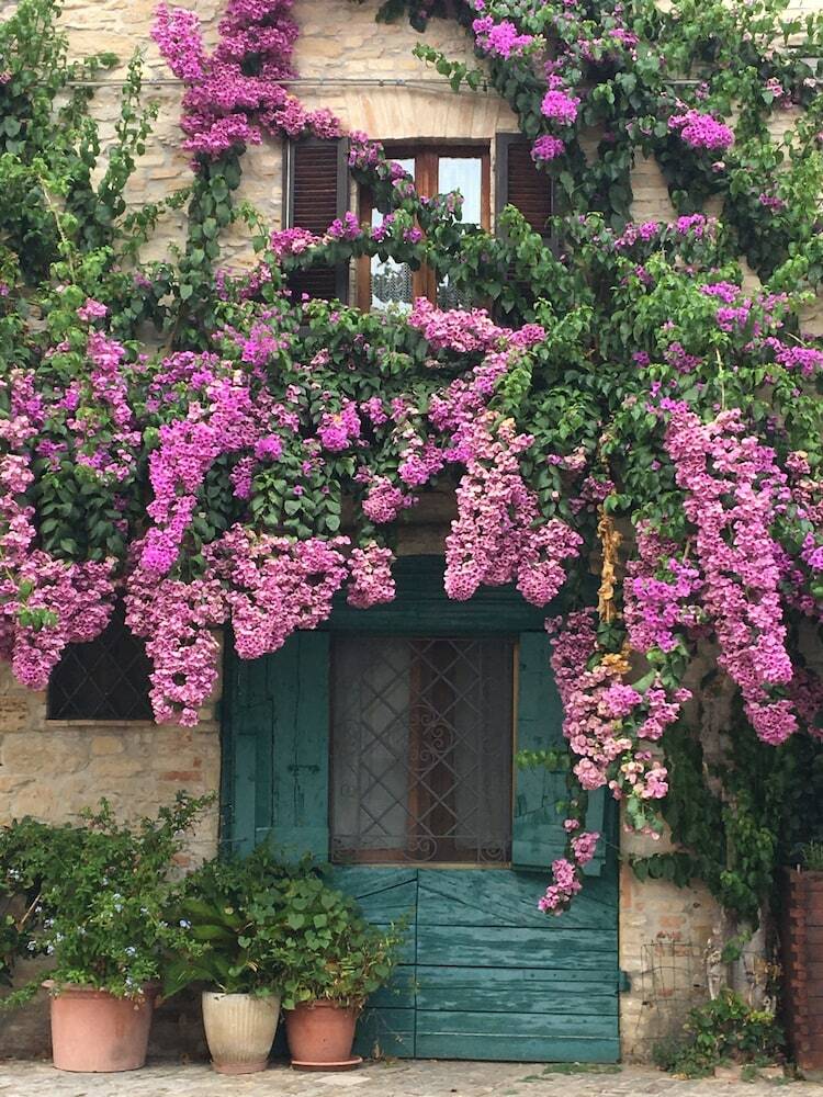 Hotel Nonna Rosa Civitanova