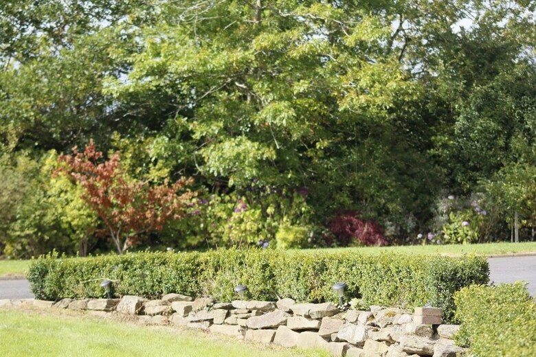 Bed & Breakfast Roe Valley Manor And Estate