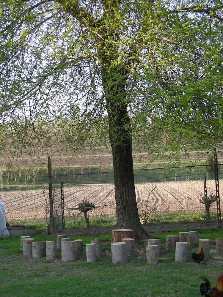Agroturismo Agriturismo Le Clementine