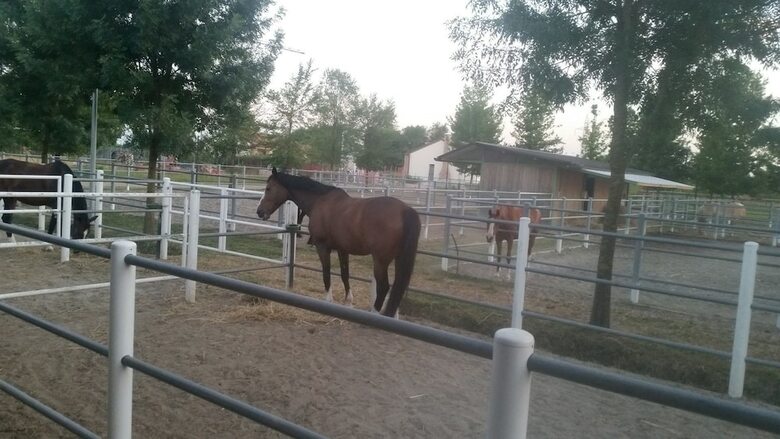 Agroturismo Alloggio Corte Benetti