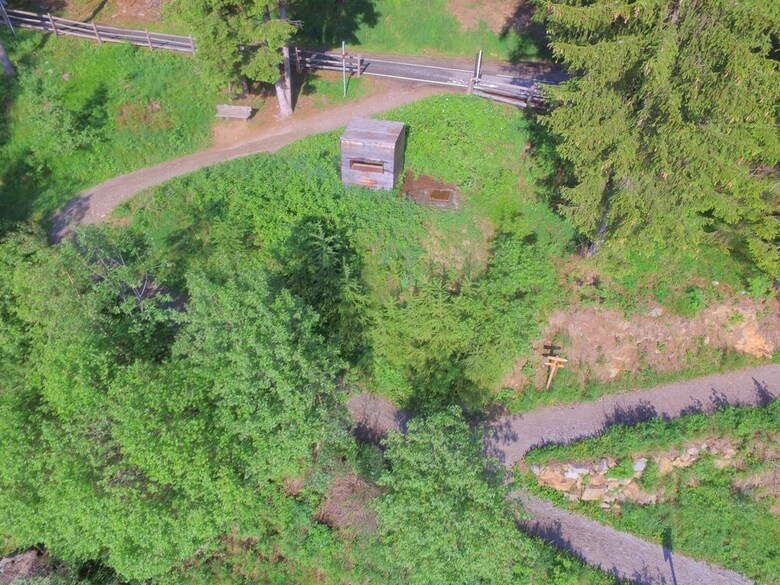 Hostal Hotel Restaurant Alpenrose