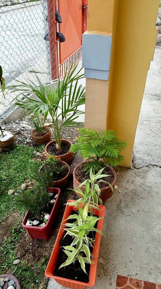 Hotel Jireh's Guests Home