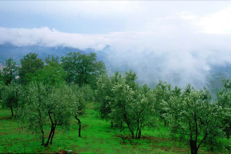 Agroturismo Podere Il Poggiolo