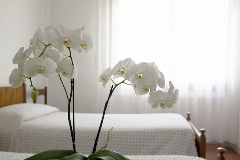 Hotel Albergo San Raffaele