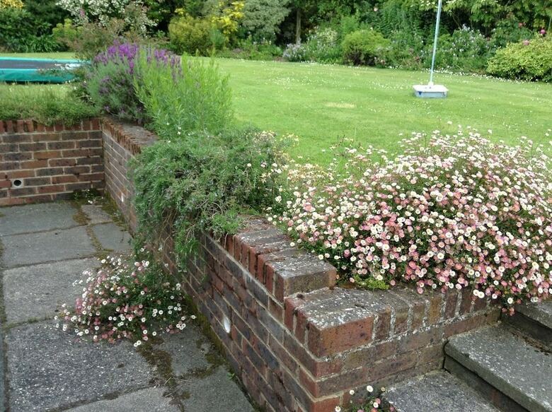 Courtlands Nurseries Bed And Breakfast