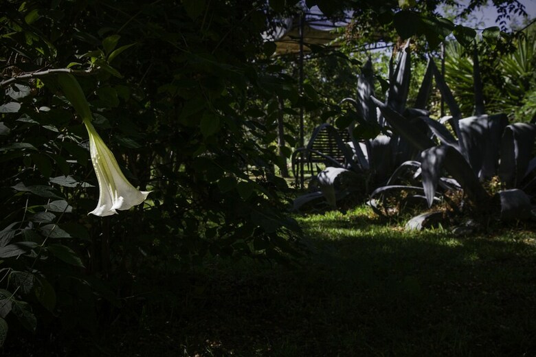 Agroturismo Tenuta Santa Tecla