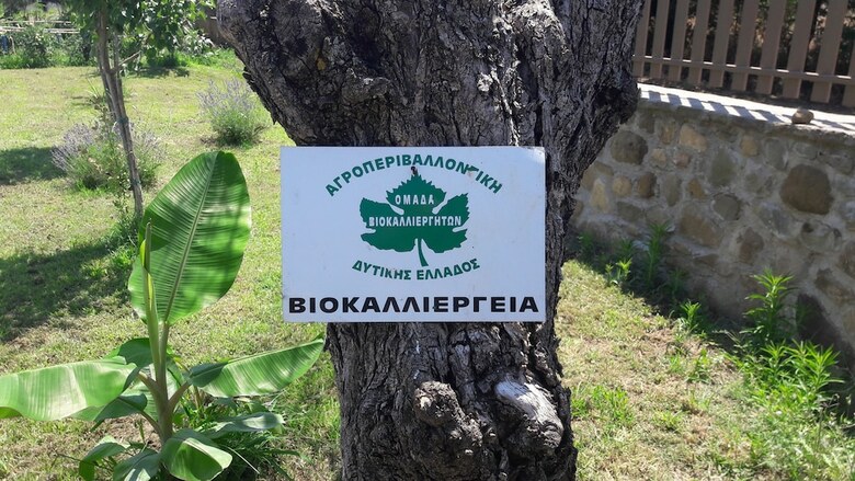 Aparthotel Socrates Organic Village-wild Olive