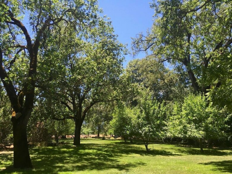 Romantic Rogue River Cottage ~ Near Del Rio Winery