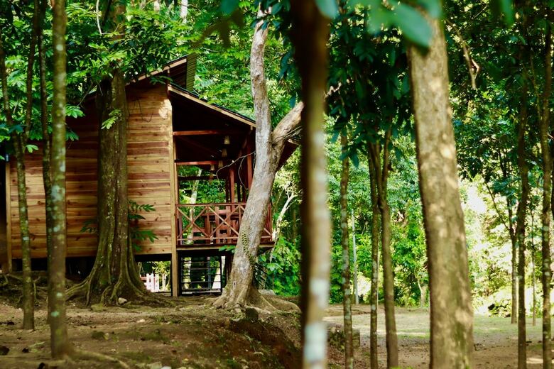 Hotel Paradise Eco Garden