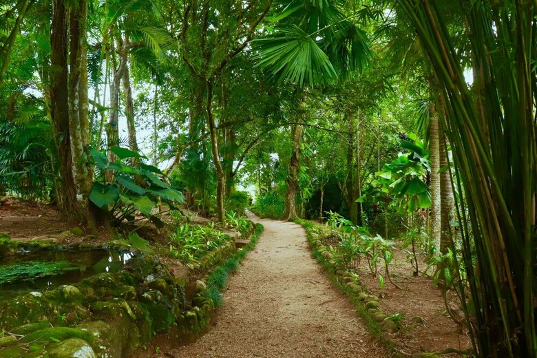 Hotel Paradise Eco Garden