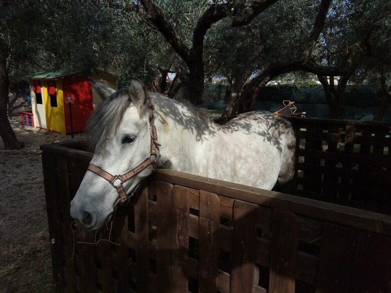 Bed & Breakfast Casadolcecasalatina