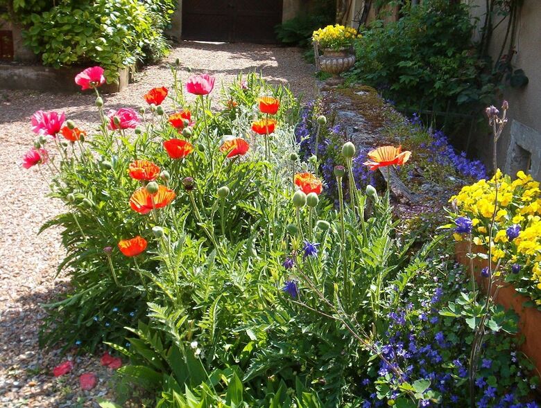 Hotel Chambres D'h�tes C�t� Jardin