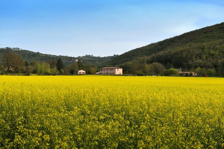 Agroturismo Agriturismo Il Corniolo