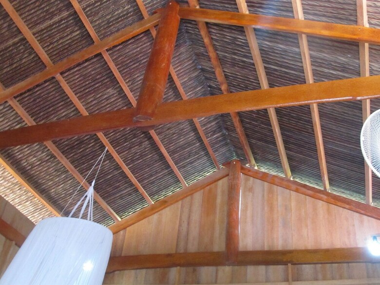 Hotel Coconut Homestay