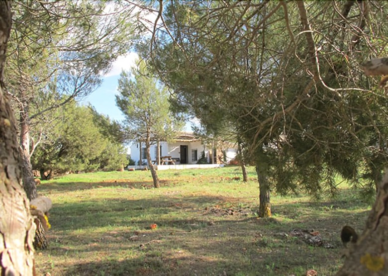 Agroturismo El Romeral de La Laguna