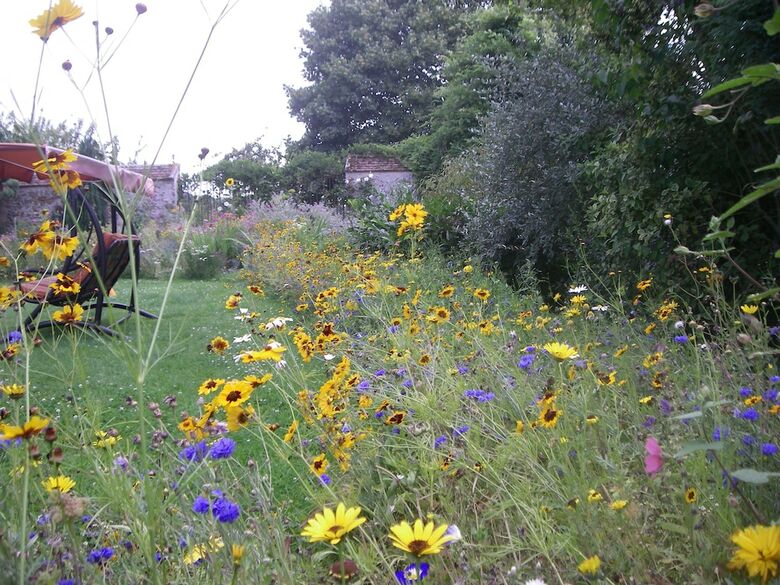 Bed & Breakfast La Ferme Le Merger