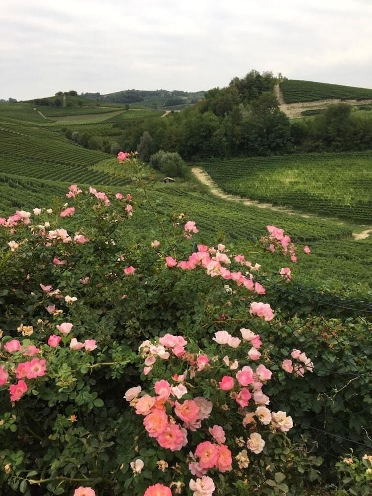 Hotel Residence Delle Rose