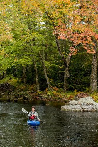 Hotel Trout Point Lodge Of Nova Scotia