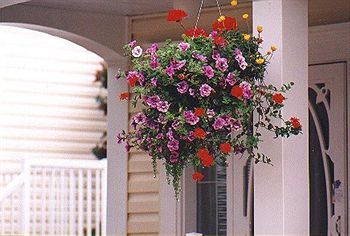 Posada Lakeside Country Inn