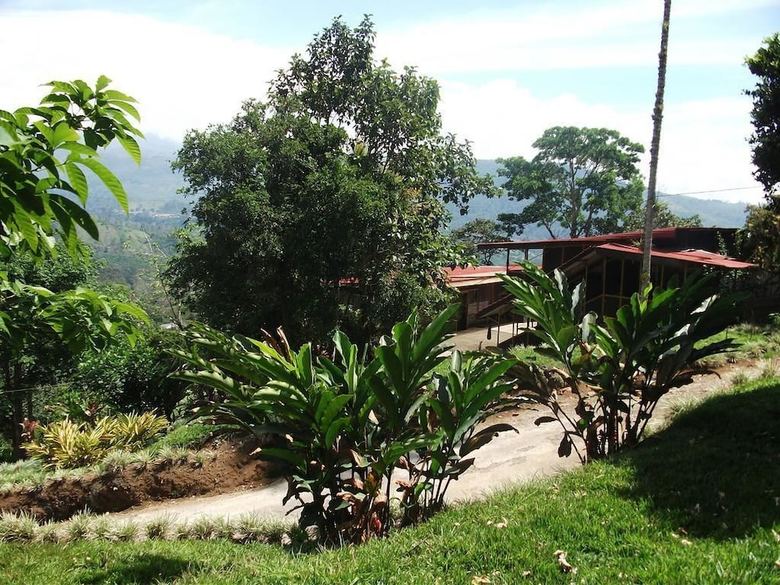 Hotel Green Mountain And Lodge