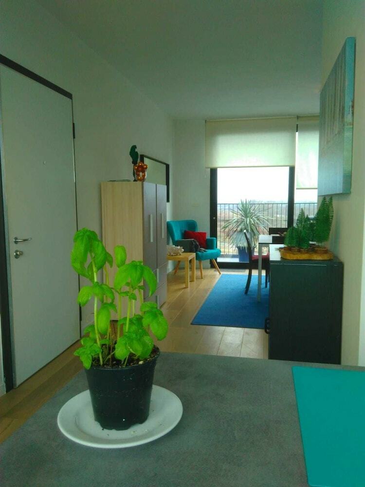 Fully Equipped Sunny Apartment