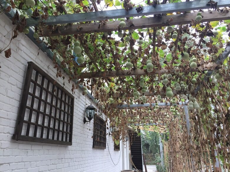 Hotel Manhong's Private Courtyard