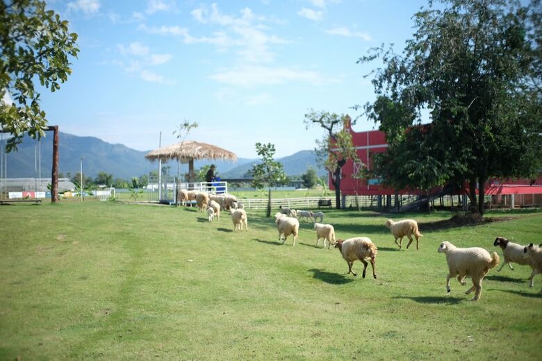 Hotel Inursing  Resort Oonvalley Chiangmai