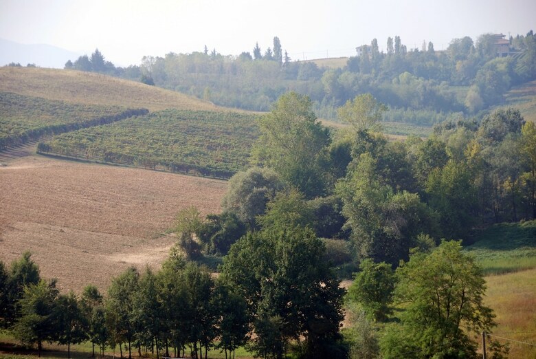 Bed & Breakfast Villa Bellaria