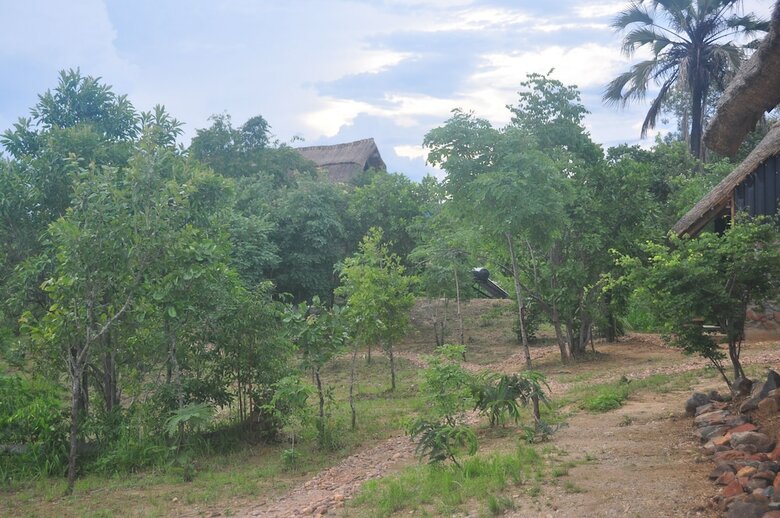 Posada Rafiki Safari Camp