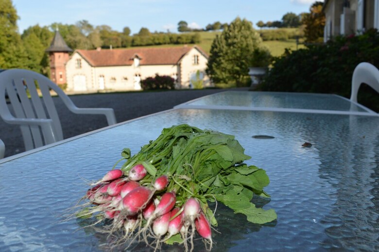 Bed & Breakfast Manoir de Curty