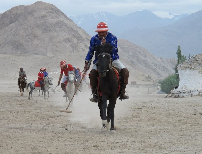 Hotel Chamba Camp Thiksey