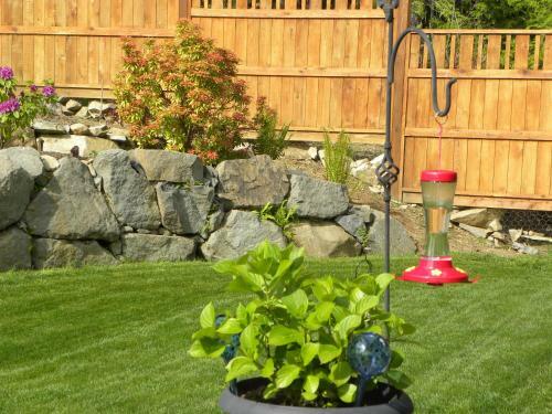 Hillcrest Avenue Bed & Breakfast