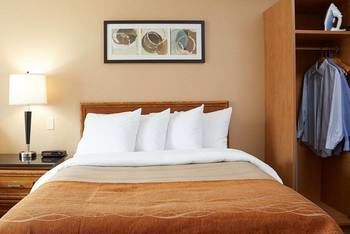 Motel Comfort Inn Cobourg