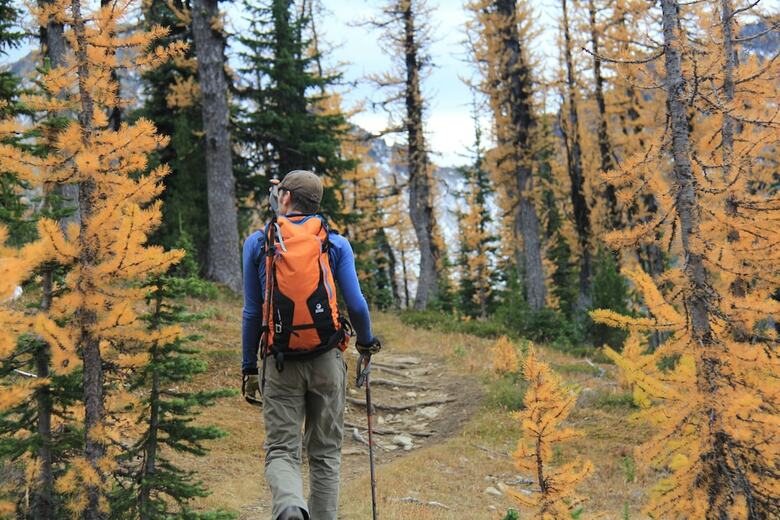 Hotel Manning Park Resort