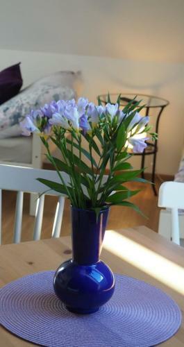 Apartamento U V�clava