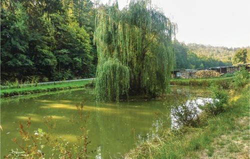 Two-bedroom Holiday Home In Schlitz-rimbach
