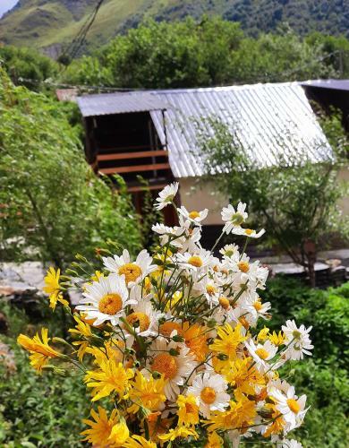 Posada Guesthouse Kesane