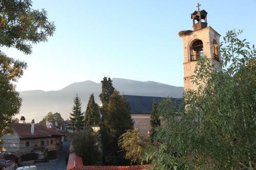 Hostal Dedo Pene Inn