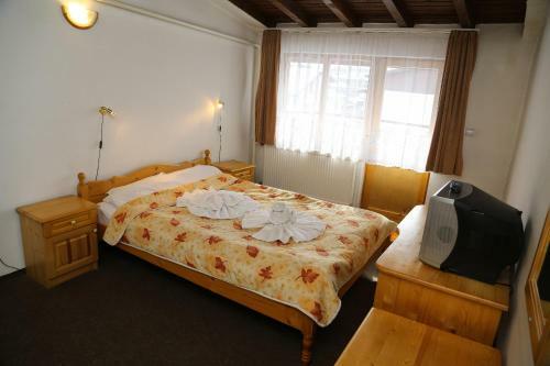 Family Hotel Bisser