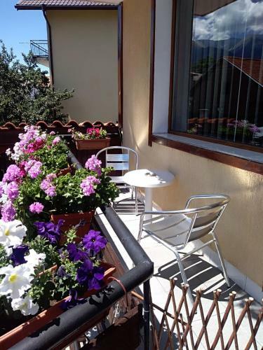 Hostal Guest House Planinski Zdravets