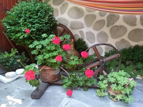 Hostal Guest House Planinski Zdravets