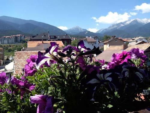 Hostal Guest House Planinski Zdravets