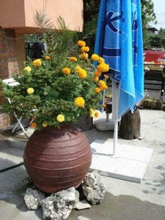 Hotel Mavrikova Kushta