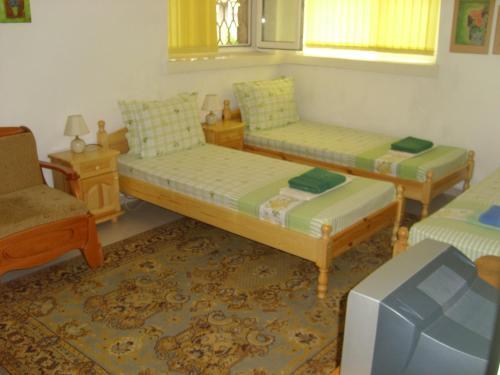 Hostal Plamena Guest Rooms