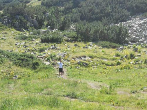 Roy's Apartment In St John Park